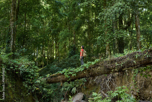 Asia, Indonesia, Bali, Mature fit Asian woman crossing fallen tree bridge across river in rainforest, while trekking in jungle