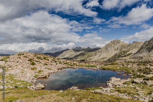 Estany del Cap dels Pessons, lake de Pessons in the Pyrenees mountains of Andorra, summertime