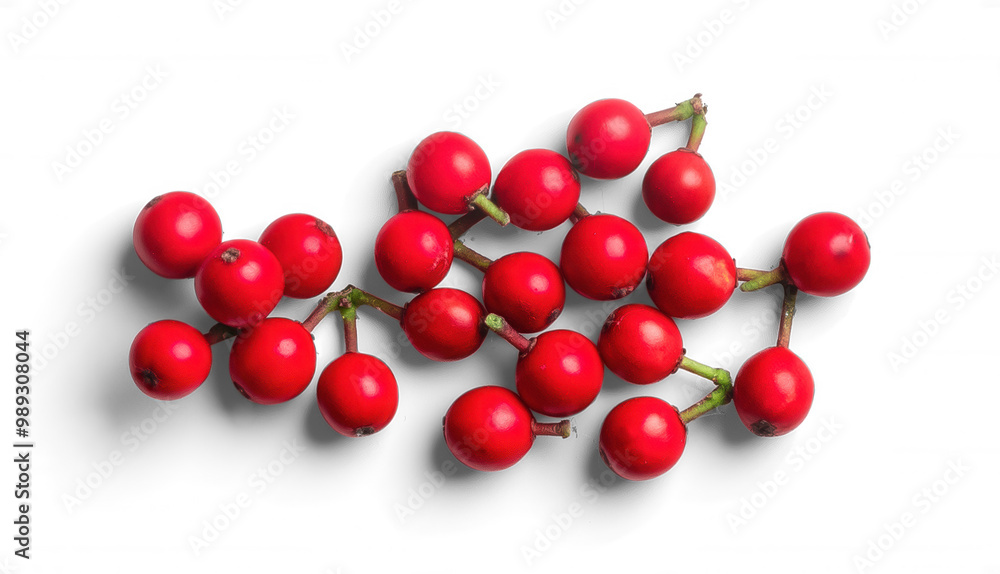 Pile of Red Holly Berries Pile of Red Holly Berries
