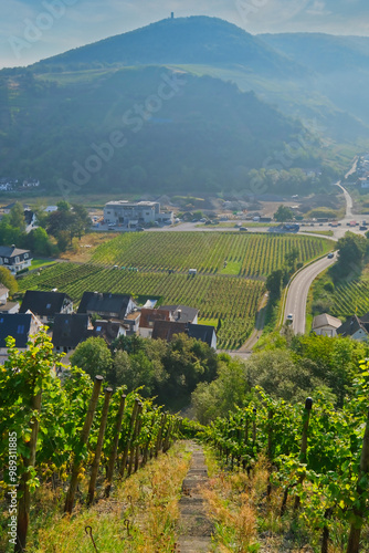 road through the vineyards near Dernau, in the Ahrweiler district in the north of Rhineland-Palatinate, Germany