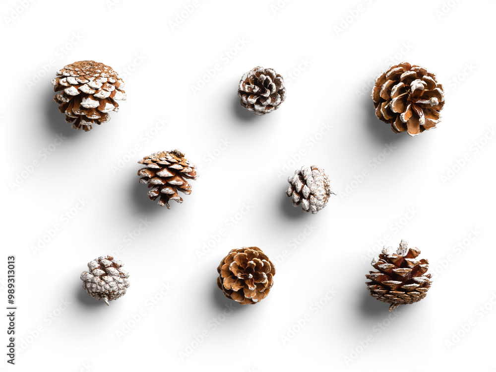 Set of Pinecone with White Stains Set of Pinecone with White Stains
