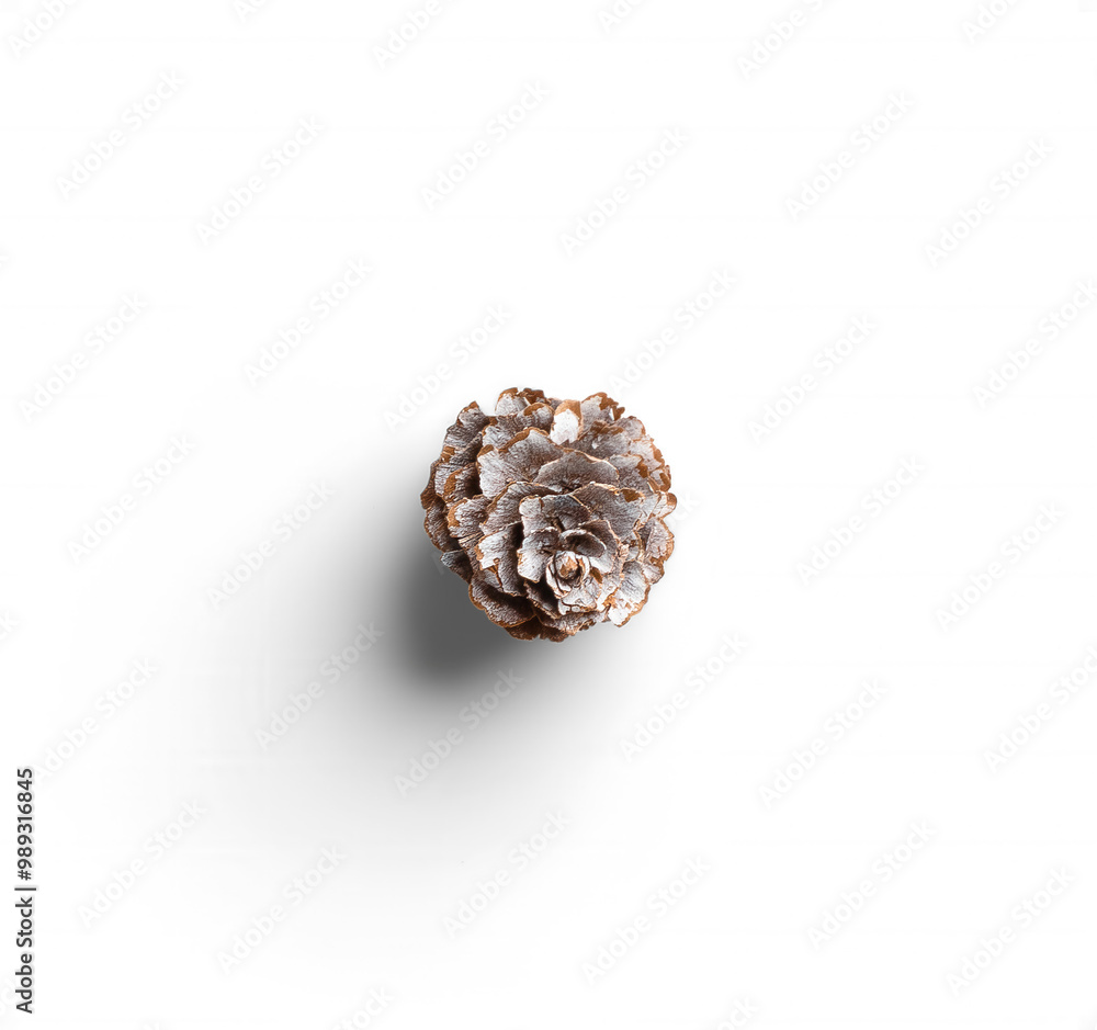 Small Pine Cone 17 Small Pine Cone 17