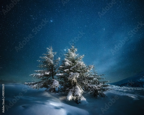 fabulous winter landscape in the mountains at night. Christmas tree under the night starry sky and the milky way