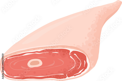 Cartoon raw meat. Bacon, steak and beef minced meat. Rack of rib, chicken breast and pork loin vector icon. Chicken and beef for barbecue, cartoon steak pork illustration on white background