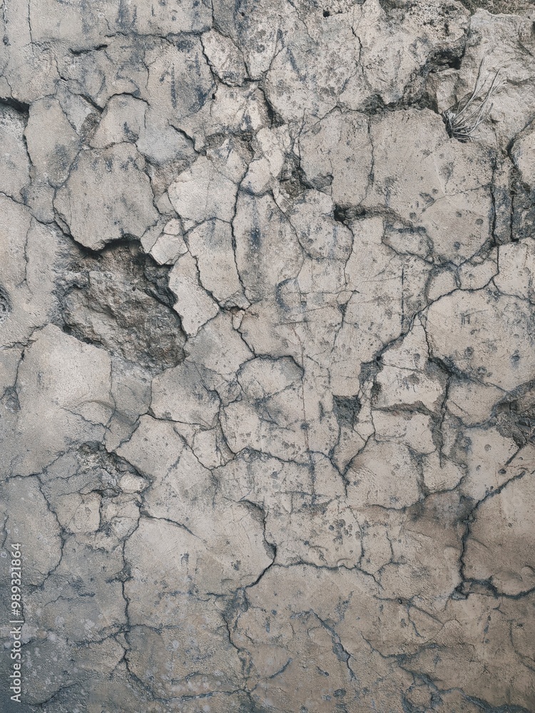 Natural wall rocks stone in a forest with liken. Background or digital use. Natural wall rocks stone in a forest with liken. Background or digital use.