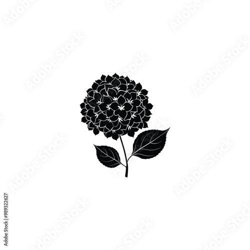 black and white flowers