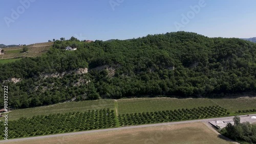 Italian scenic Vineyard Landscape Aerial View