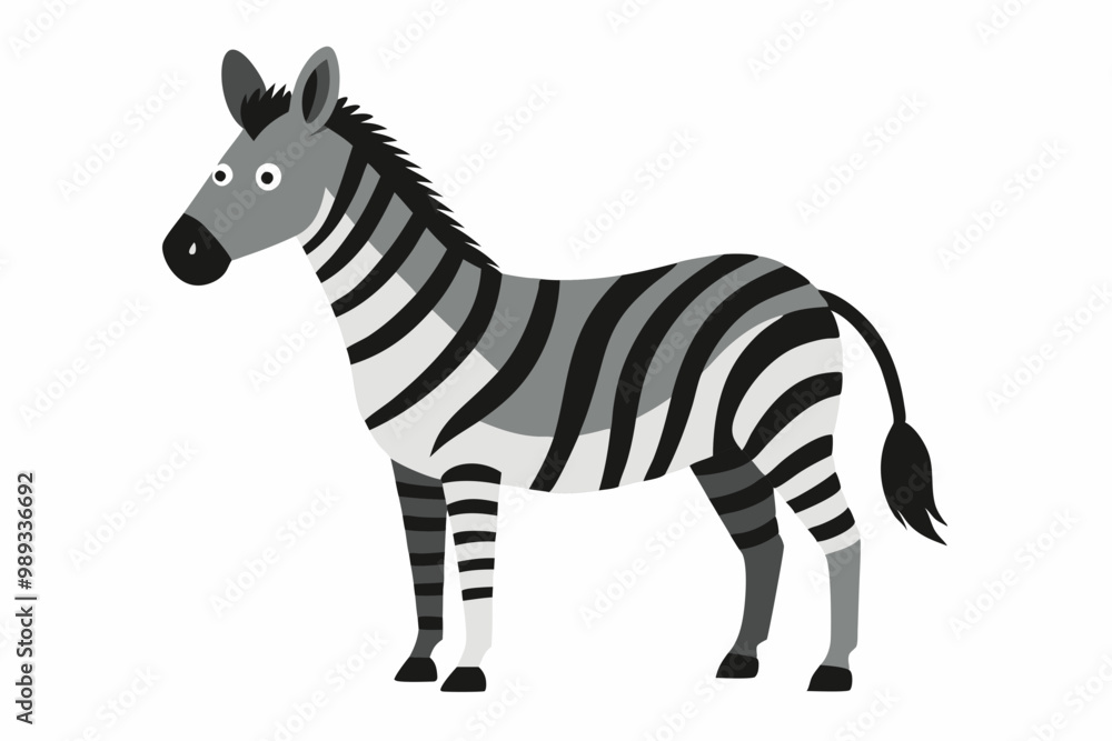 Obraz premium Zebra vector art and illustration