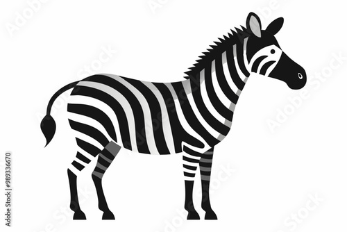 Zebra vector art and illustration photo