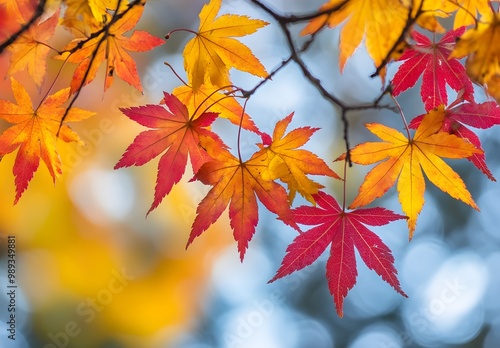 Vibrant Autumn Maple Leaves in Chinese Art Style