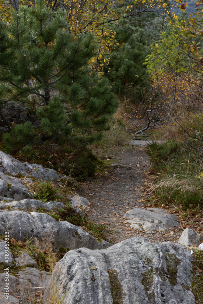 mountain stream in autumn mountain stream in autumn