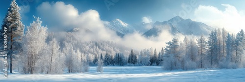 Snowy Mountain Panorama with Frosty Trees and Misty Clouds Image