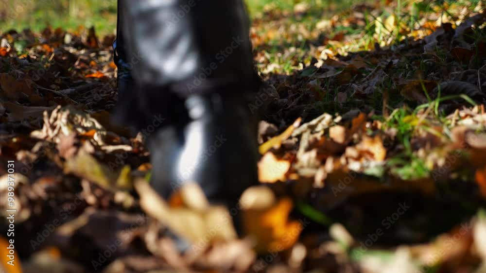 Close up to female feet in boots going along trail on fallen dry leaves. Legs of young woman stepping along path outdoor. Girl walking at nature sunny autumn day. Low view Slow motion Close up to female feet in boots going along trail on fallen dry leaves. Legs of young woman stepping along path outdoor. Girl walking at nature sunny autumn day. Low view Slow motion