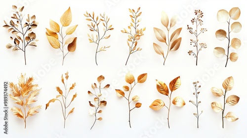 Golden botanical leaves arranged on white surface