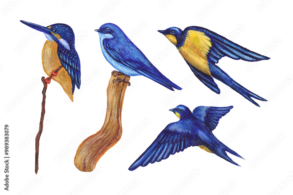 Naklejka premium collection of bluebirds