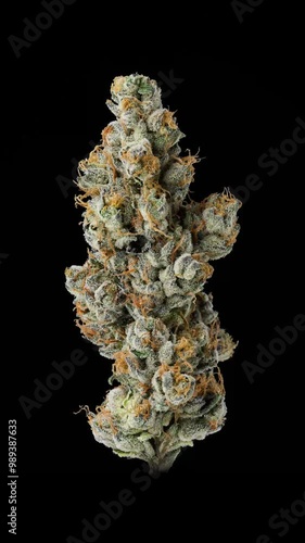 Closeup of a single dried cannabis nug