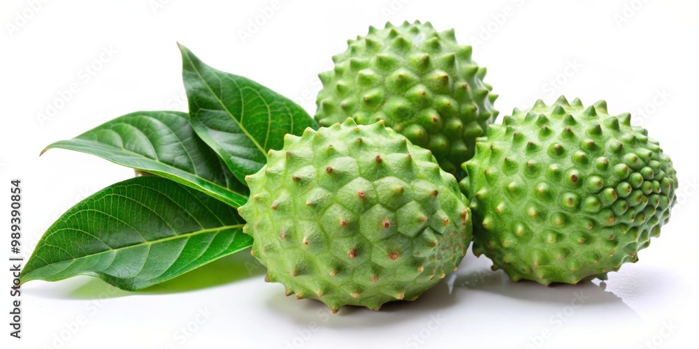 Closeup of Three Green Spiky Fruits with Leaves, exotic fruit , tropical fruit Closeup of Three Green Spiky Fruits with Leaves, exotic fruit , tropical fruit