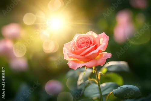 A red rose with lush petals, set against a gentle green blur, with soft morning light creating a warm glow , generative ai