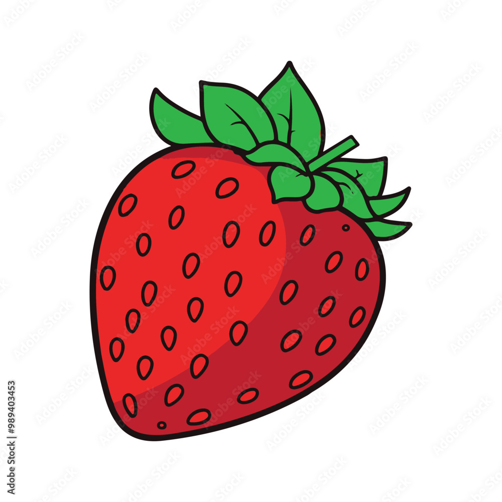 vector of illustration of strawberry vector of illustration of strawberry