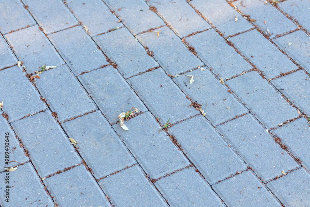 Gray classic pavers.