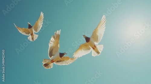 Three graceful birds soaring in a bright blue sky under the sun.
