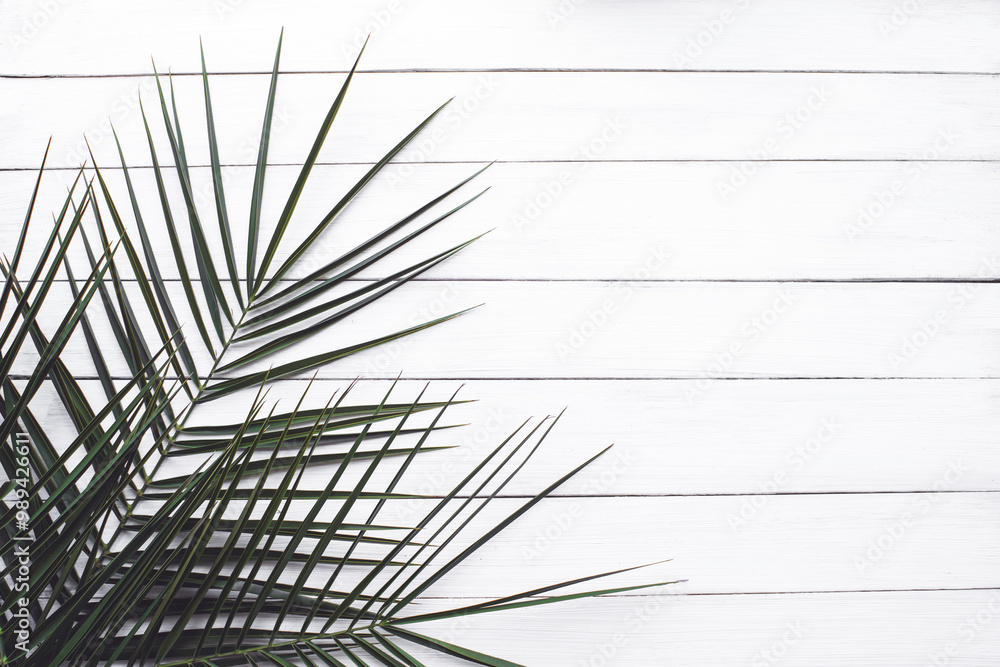 Fototapeta premium Palm branches on white wooden painted board, top view, copy space. Tropical background