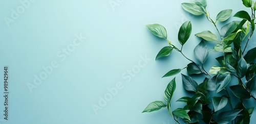 Green Leaves on Light Blue Background Banner Design
