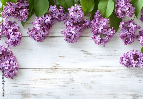 Lilac Flowers Border on White Wooden Background