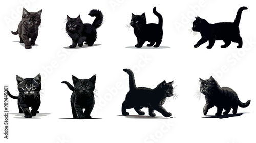 black kitten collection