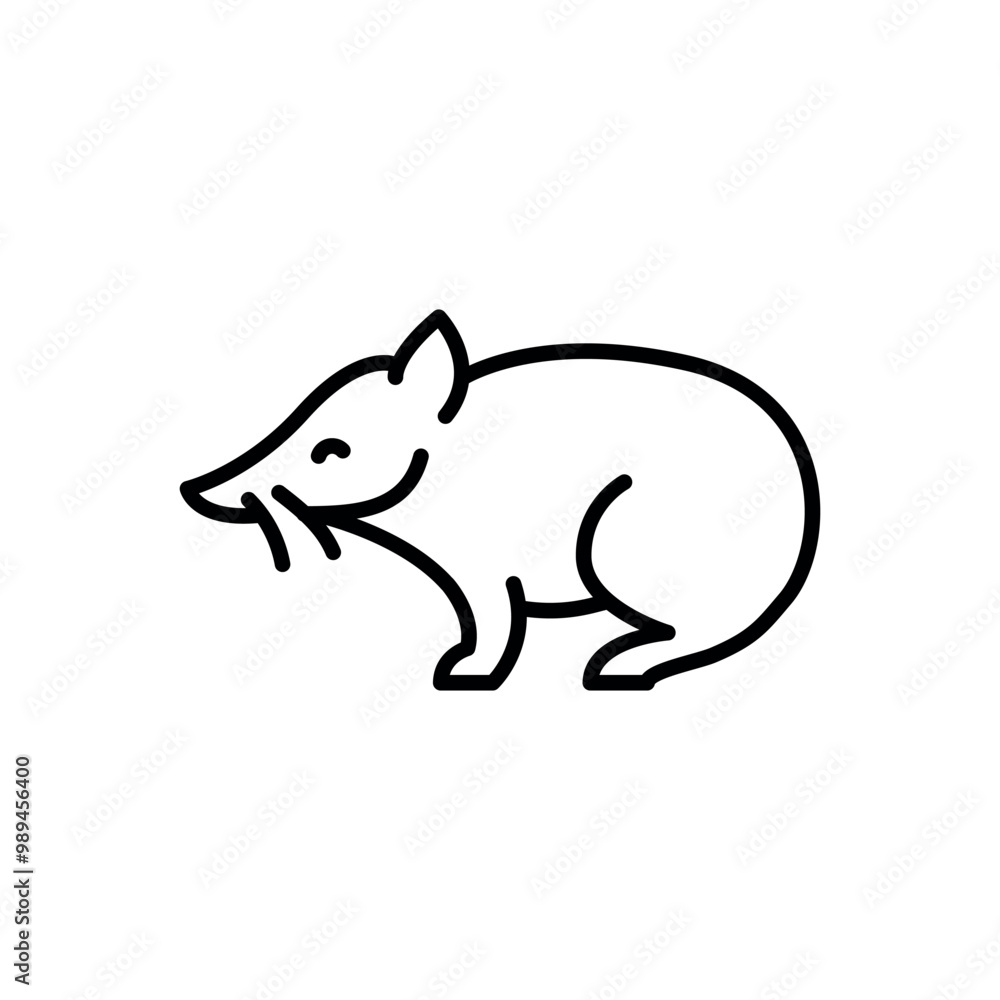 Obraz premium Proboscis couscous black line illustration. Animals of Australia.