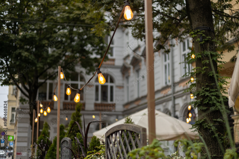 Decorative Outdoor Street electric garland. Old light bulbs. Lamp hang in the yard. Terrace concept. String wired bulbs. Festoon string lights decoration at the party event.