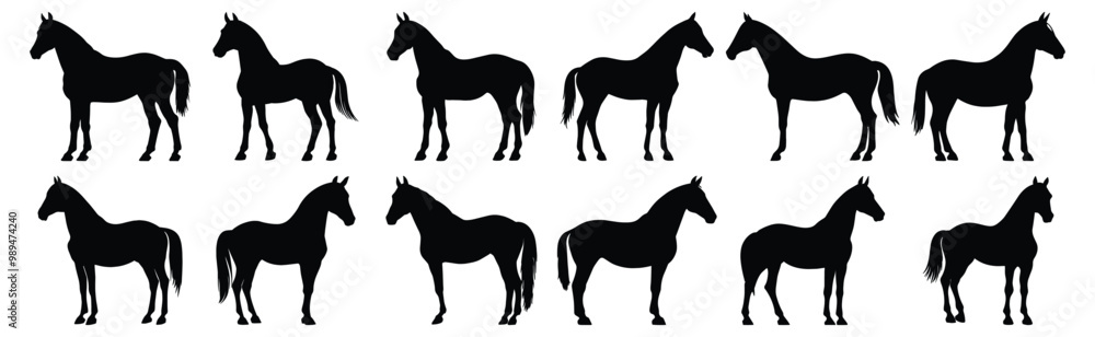 Obraz premium Horse silhouettes set, animal pack of vector silhouette design, isolated background.