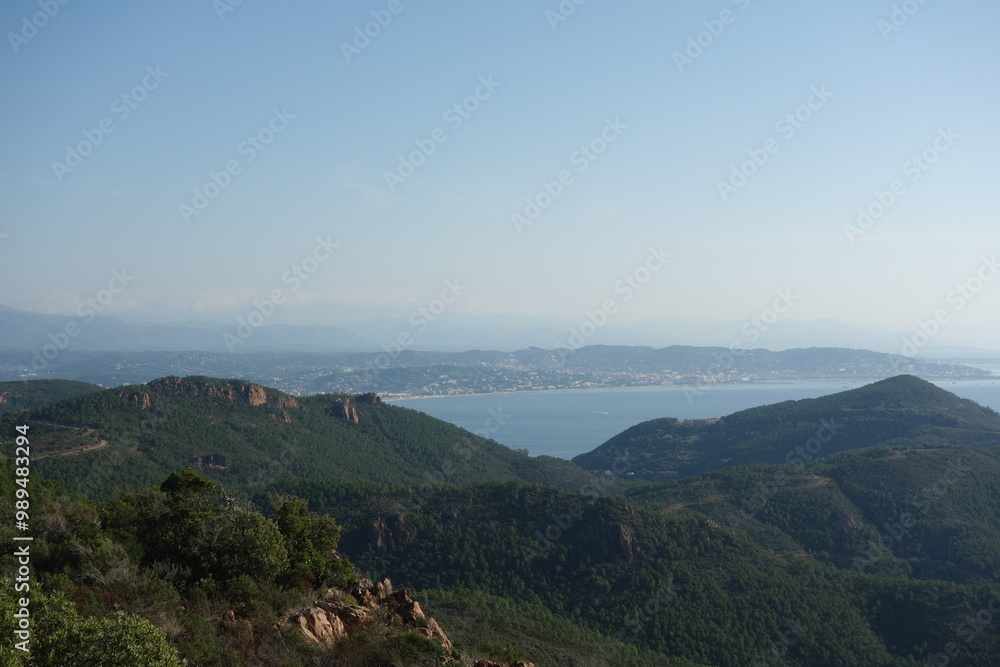 Naklejka premium GR51