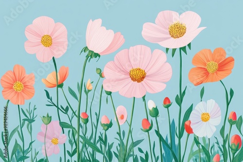 Wallpaper Mural Coloring page featuring blooming cosmos flowers in a garden showcasing vibrant pink petals of the cosmos bipinnatus Torontodigital.ca