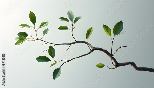 Minimalist Illustration of Floral Tree Branches Created with Generative AI Techniques