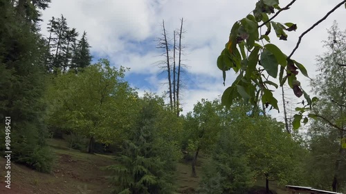 Kupwara and doodpathri Budgam kashmir looks same beautiful and attractive destination wast rangeland and green fields Clip 89 photo