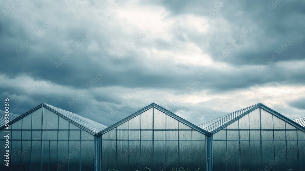 Greenhouses beneath a cloudy sky Greenhouses beneath a cloudy sky