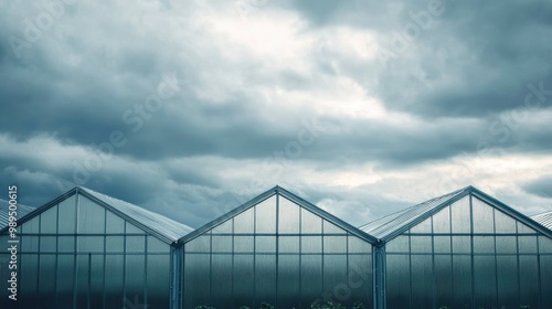 Greenhouses beneath a cloudy sky