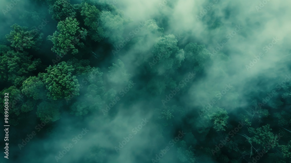 Fototapeta premium Foggy forest landscape pattern background top view generated by ai