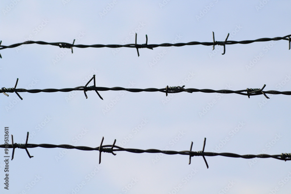 Barbed wire fence against blue sky with white clouds. Barbed wire isolated on a blue background. Barbed wire abstract background Barbed wire fence against blue sky with white clouds. Barbed wire isolated on a blue background. Barbed wire abstract background