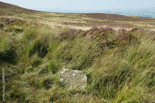 Konstfotografi Robert Wilson’s Grave, just off the Pennine Way, Near Pinhaw Beacon, Elslack Moo