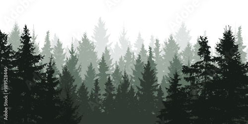 Forest background, nature, landscape. Evergreen coniferous trees, silhouette. Vector illustration