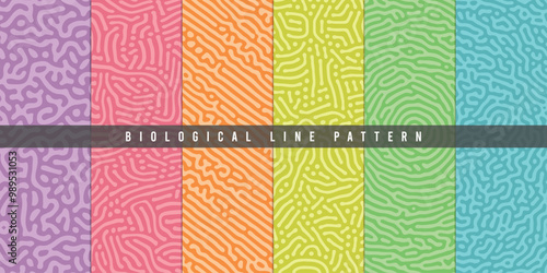 Set of organic, biological turing lines patterns