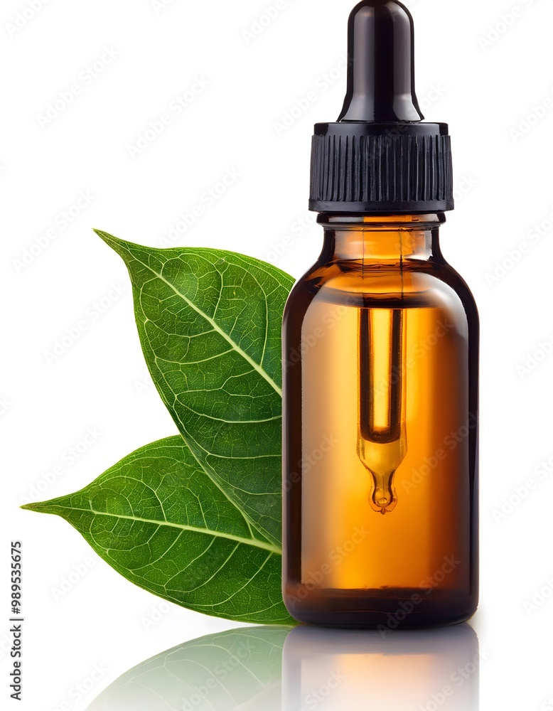 Ravintsara Essential Oil with Ravintsara Leaves Ravintsara Essential Oil with Ravintsara Leaves