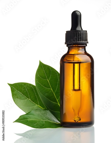 Ravintsara Essential Oil with Ravintsara Leaves