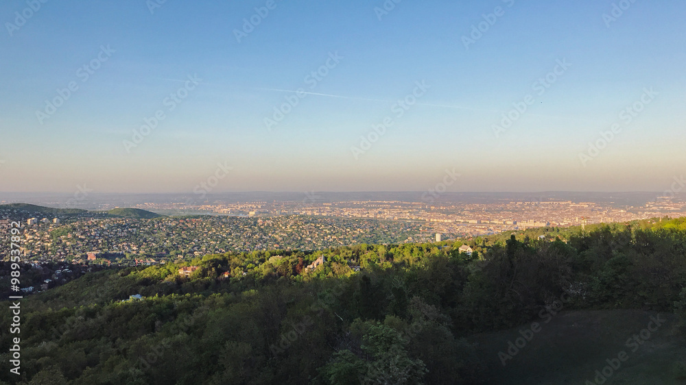 Fototapeta premium Perspective Of Budapest From Normafa Hill