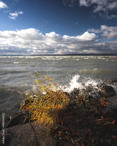 Lake Balaton on a windy day...