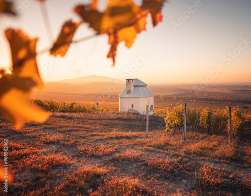 Small wine cellar at wonderful vineyards at Tokaj in autumn