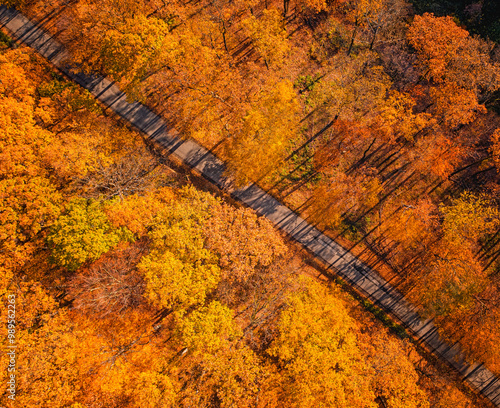 Aerial view on the forest i...