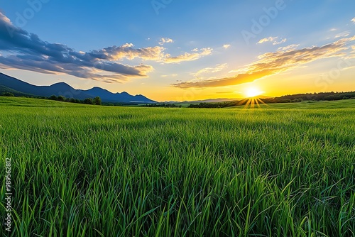 A tranquil meadow bathed in the warm glow of sunset, with tall grass swaying in the breeze and distant mountains on the horizon photo